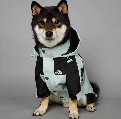 THEDOGFACE "Pro" Regenjacke